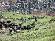 USA-Wyoming-Bighorn Mountain Ranch Hideout